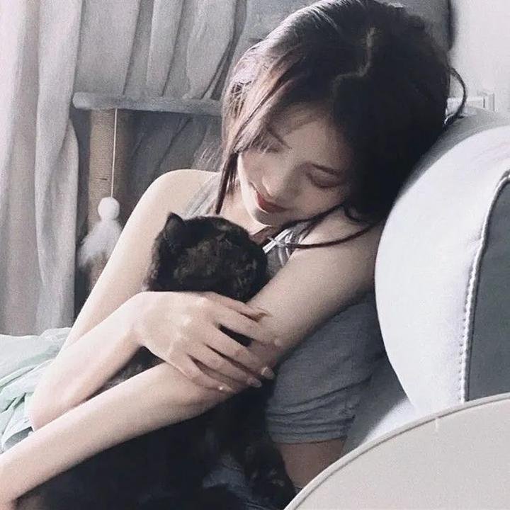 狡猾的兔小姐海报