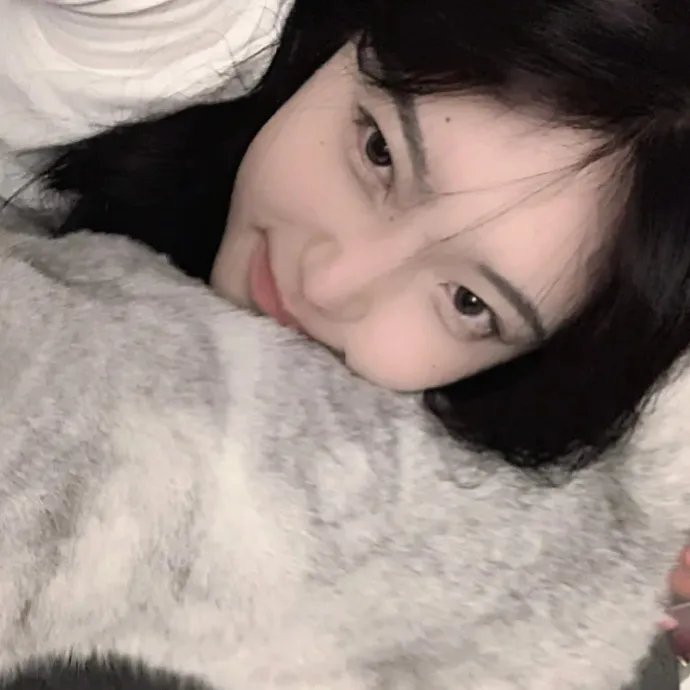 西格弗里德海报